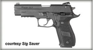 SIG SAUER P226 .22 LR for sale