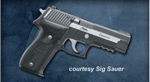 SIG SAUER P226 EQUINOX for sale