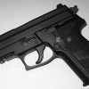 SIG SAUER P229 for sale