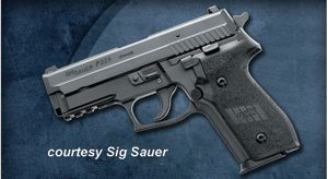 SIG SAUER P229 for sale