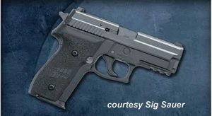 SIG SAUER P229 for sale