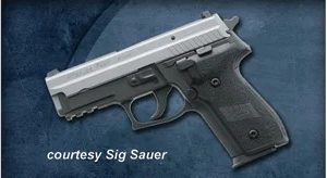 SIG SAUER P229 for sale