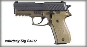 SIG SAUER P229 COMBAT for sale