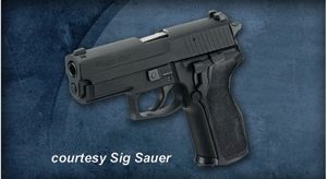 SIG SAUER P229 E2 for sale