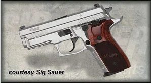 SIG SAUER P229 ELITE STAINLESS for sale