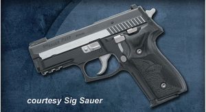 SIG SAUER P229 EQUINOX for sale