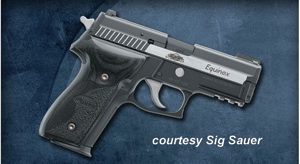 SIG SAUER P229 EQUINOX for sale