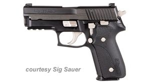 SIG SAUER P229 EQUINOX ELITE COMPACT for sale