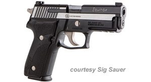 SIG SAUER P229 EQUINOX ELITE COMPACT for sale