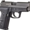 SIG SAUER P229 M11-A1 for sale