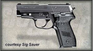 SIG SAUER P229 M11-A1 for sale