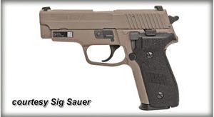 SIG SAUER P229 M11-A1 for sale