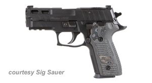 SIG SAUER P229 PRO for sale