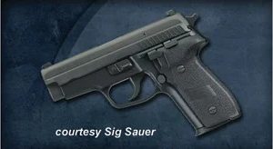 SIG SAUER P229 SAS for sale