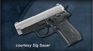 SIG SAUER P229 SAS for sale