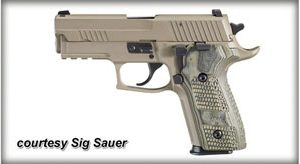 SIG SAUER P229 SCORPION ELITE for sale