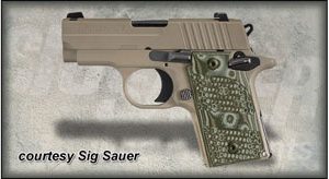 SIG SAUER P238 SCORPION for sale