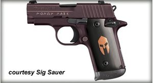 SIG SAUER P238 SPARTAN for sale