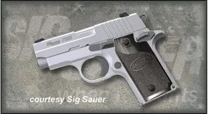 SIG SAUER P238 STAINLESS for sale