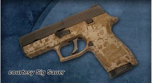 SIG SAUER P250 COMPACT for sale