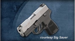 SIG SAUER P250 SUBCOMPACT for sale