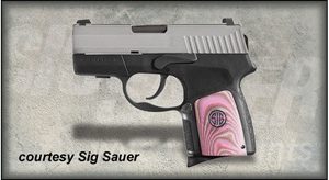 SIG SAUER P290RS ENHANCED for sale