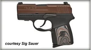 SIG SAUER P290RS ORB for sale