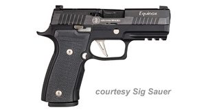 SIG SAUER P320 AXG EQUINOX for sale