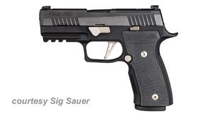 SIG SAUER P320 AXG EQUINOX for sale