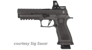 SIG SAUER P320 MAX for sale