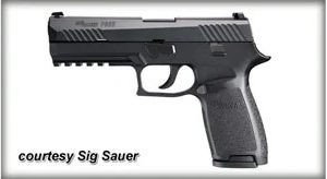 SIG SAUER P320 NITRON for sale