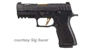 SIG SAUER P320 XCARRY SPECTRE for sale