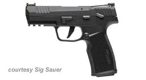 SIG SAUER P322 for sale