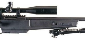 SIG SAUER SSG 3000 PRECISION TACTICAL RIFLE for sale