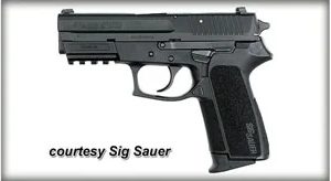 SIG SP2022 for sale