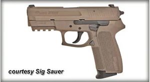 SIG SP2022 for sale