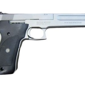 SMITH & WESSON 2206 STAINLESS TARGET for sale