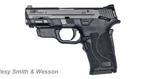 SMITH & WESSON M&P 9 SHIELD EZ M2.0 for sale