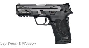 SMITH & WESSON M&P 9 SHIELD EZ M2.0 for sale