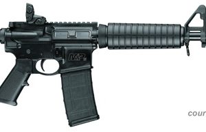 SMITH & WESSON M&P15 SPORT II for sale