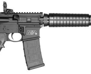 SMITH & WESSON M&P15 SPORT II for sale