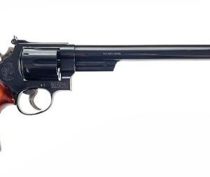 SMITH & WESSON MODEL 29 SILHOUETTE for sale