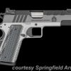 SPRINGFIELD ARMORY 1911 EMISSARY for sale