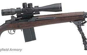 SPRINGFIELD ARMORY M1A/M21 TACTICAL for sale