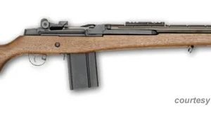 SPRINGFIELD ARMORY M1A SCOUT SQUAD for sale