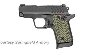 SPRINGFIELD ARMORY MODEL 911 .380 ACP for sale