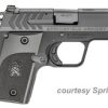 SPRINGFIELD ARMORY MODEL 911 ALPHA for sale