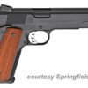 SPRINGFIELD ARMORY PROFESSIONAL MODEL for sale