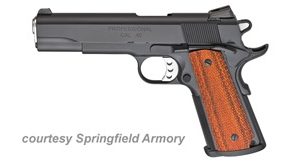 SPRINGFIELD ARMORY PROFESSIONAL MODEL for sale