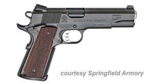 SPRINGFIELD ARMORY PROFESSIONAL MODEL for sale